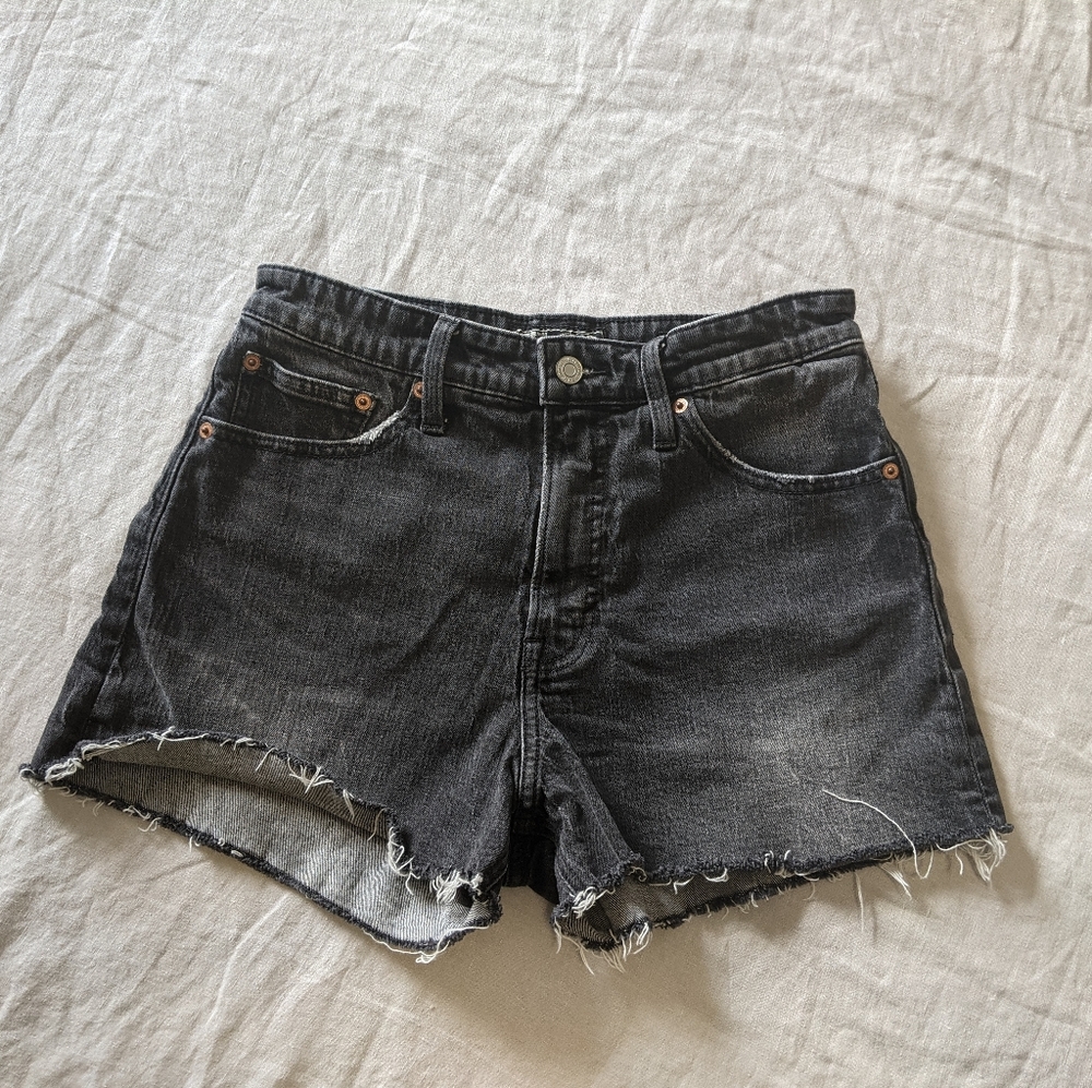 Lucky Pins high rise, raw edge, jean shorts